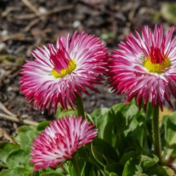 VHRS_-015_0526-27_WEB