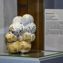 Ventspils-Hronika-Starptautiska-mazo-formu-keramikas-simpozija-Navigacija-2025-noslegums-4