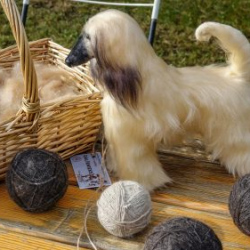 VHRS_-010_1025-11_WEB