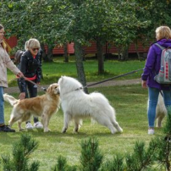 VHRS_-010_1025-24_WEB