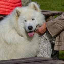 VHRS_-010_1025-28_WEB