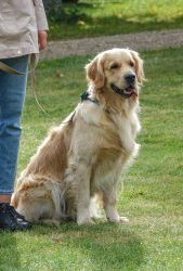 VHRS_-010_1025-29_WEB