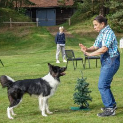 VHRS_-010_1025-30_WEB