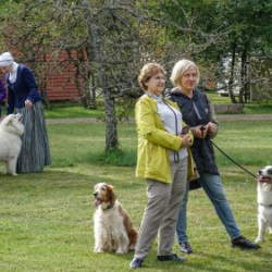 VHRS_-010_1025-31_WEB