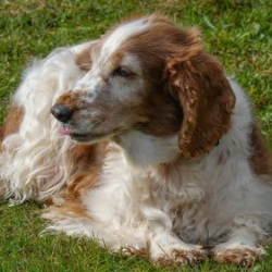 VHRS_-010_1025-32_WEB