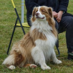 VHRS_-010_1025-33_WEB