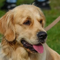 VHRS_-010_1025-36_WEB