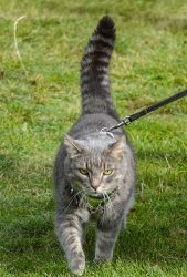 VHRS_-010_1025-44_WEB