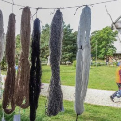 VHRS_-010_1025-46_WEB