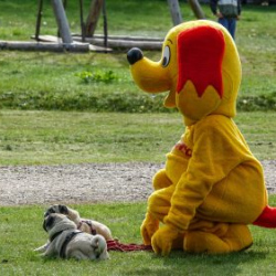 VHRS_-010_1025-49_WEB