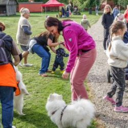 VHRS_-010_1025-5_WEB