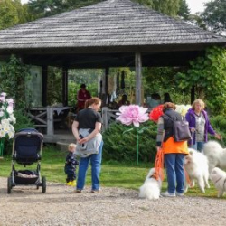 VHRS_-010_1025-7_WEB