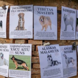 VHRS_-010_1025-8_WEB