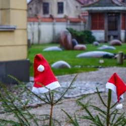 VHRS_-019_1225-88_WEB