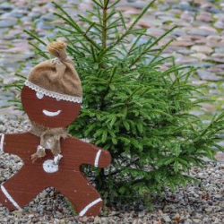 VHRS_-019_1225-89_WEB