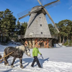 Oskars-Jura-Maslenica-20