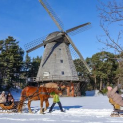 Oskars-Jura-Maslenica-28