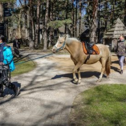 Usinu-diena-Piejuras-brivdabas-muzejs-Foto-Ventspils-Hronika-14