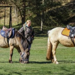 Usinu-diena-Piejuras-brivdabas-muzejs-Foto-Ventspils-Hronika-15