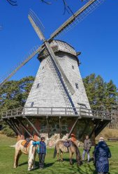 Usinu-diena-Piejuras-brivdabas-muzejs-Foto-Ventspils-Hronika-17