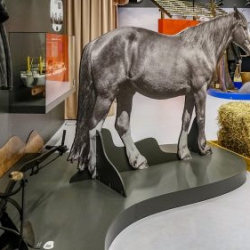 Usinu-diena-Piejuras-brivdabas-muzejs-Foto-Ventspils-Hronika-24