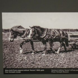 Usinu-diena-Piejuras-brivdabas-muzejs-Foto-Ventspils-Hronika-25