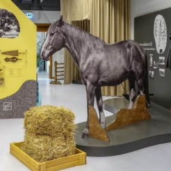 Usinu-diena-Piejuras-brivdabas-muzejs-Foto-Ventspils-Hronika-26