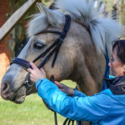 Usinu-diena-Piejuras-brivdabas-muzejs-Foto-Ventspils-Hronika-28