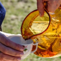 Usinu-diena-Piejuras-brivdabas-muzejs-Foto-Ventspils-Hronika-31