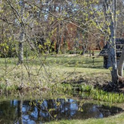 Usinu-diena-Piejuras-brivdabas-muzejs-Foto-Ventspils-Hronika-38
