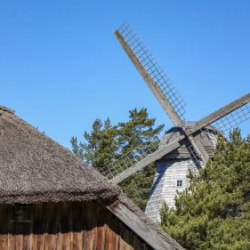 Usinu-diena-Piejuras-brivdabas-muzejs-Foto-Ventspils-Hronika-39