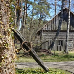 Usinu-diena-Piejuras-brivdabas-muzejs-Foto-Ventspils-Hronika-40