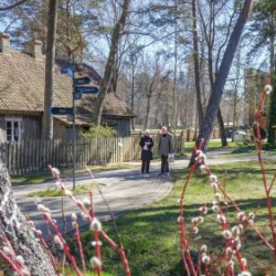 Usinu-diena-Piejuras-brivdabas-muzejs-Foto-Ventspils-Hronika-41