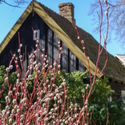 Usinu-diena-Piejuras-brivdabas-muzejs-Foto-Ventspils-Hronika-44