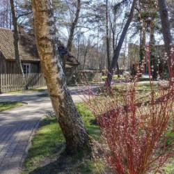 Usinu-diena-Piejuras-brivdabas-muzejs-Foto-Ventspils-Hronika-46