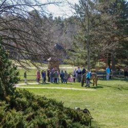 Usinu-diena-Piejuras-brivdabas-muzejs-Foto-Ventspils-Hronika-52