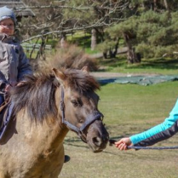 Usinu-diena-Piejuras-brivdabas-muzejs-Foto-Ventspils-Hronika-6