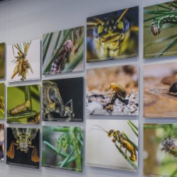 VHRS_-008_0326-11_WEB