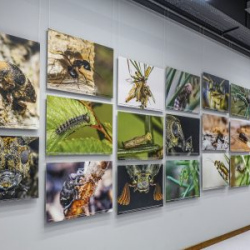 VHRS_-008_0326-4_WEB