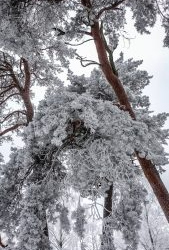 VHRS_-002_0226-16_WEB