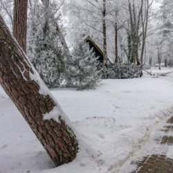 VHRS_-002_0226-17_WEB