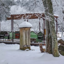 VHRS_-002_0226-18_WEB