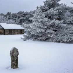 VHRS_-002_0226-31_WEB