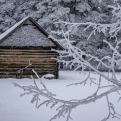 VHRS_-002_0226-35_WEB