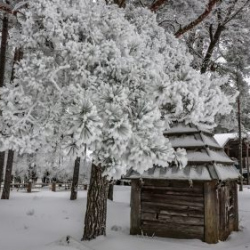 VHRS_-002_0226-36_WEB