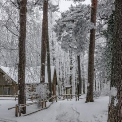 VHRS_-002_0226-38_WEB