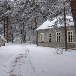 VHRS_-002_0226-43_WEB