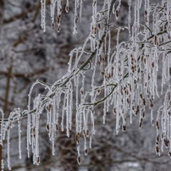 VHRS_-002_0226-4_WEB