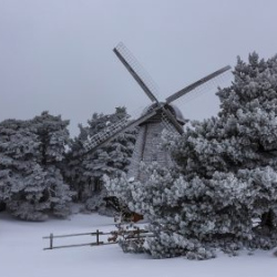 VHRS_-002_0226-53_WEB