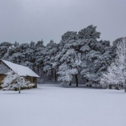 VHRS_-002_0226-54_WEB